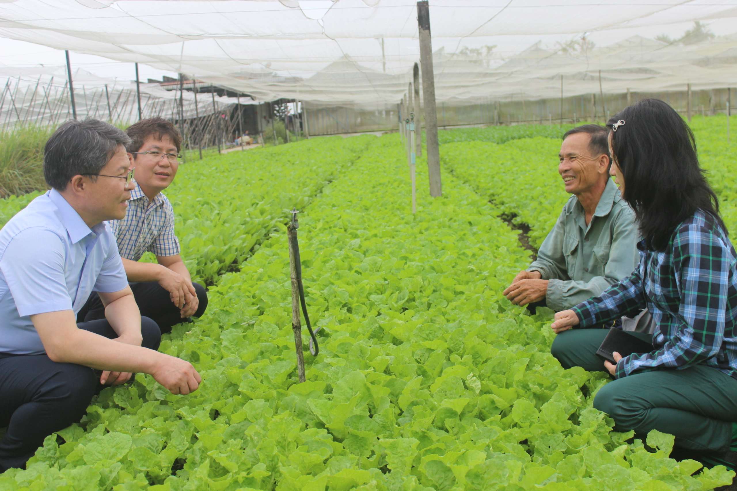 9.10-H2 Tin phát triển cây rau.jpg?t=1762423332