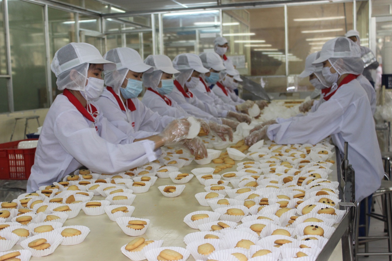 bibica.jpg?t=1762423332