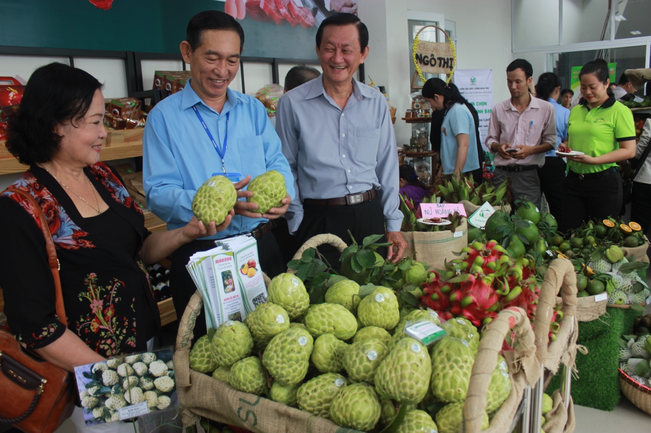 t4a.jpg?t=1762423332