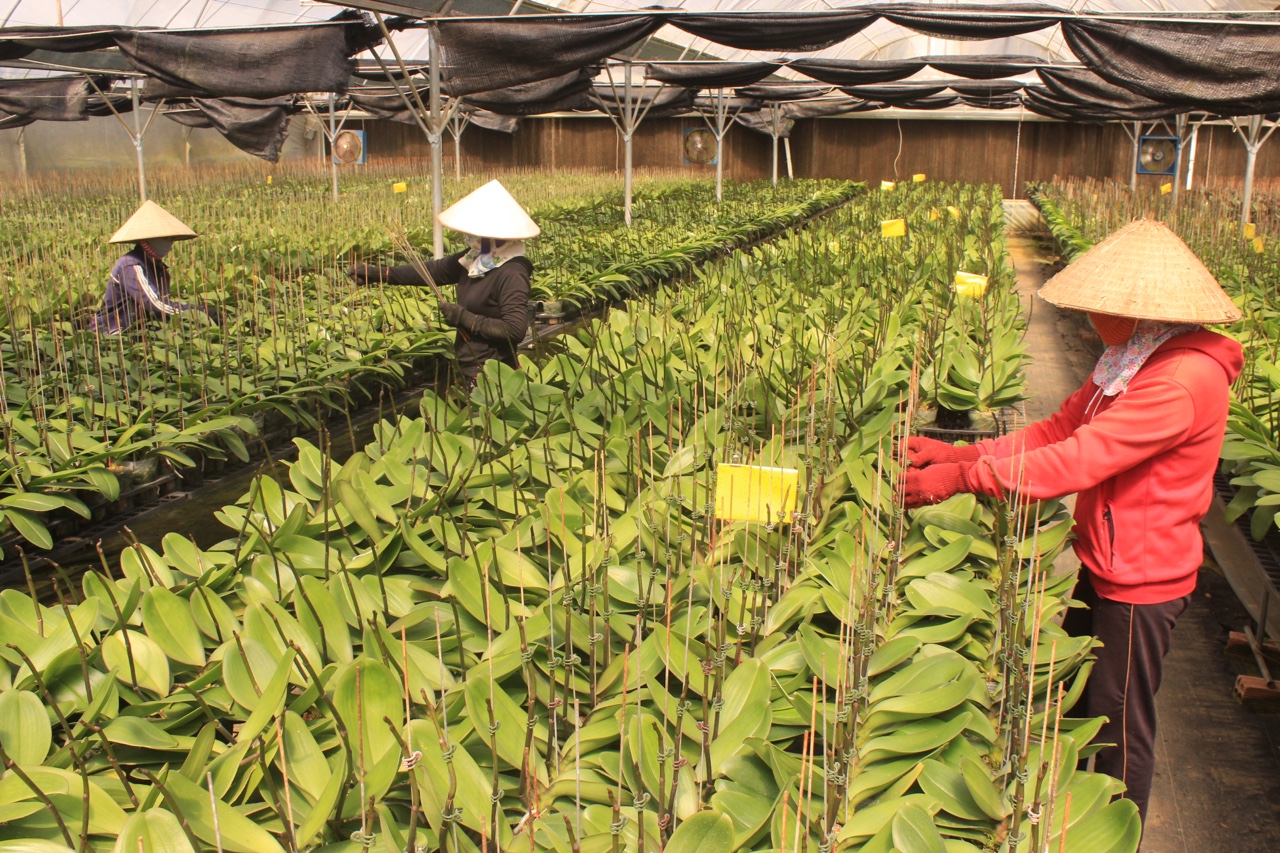 p11.jpg?t=1762423332