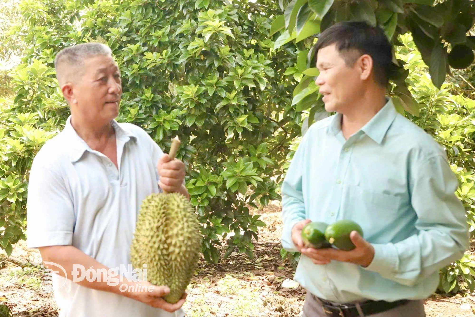 z6842933799474 ff6b4727a1358996efe26b2b065f4f97