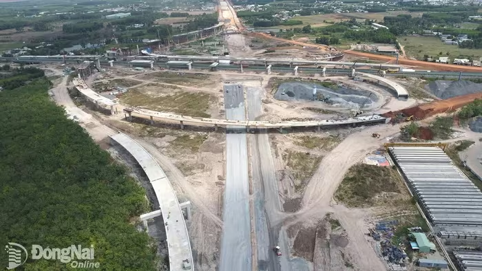 a31