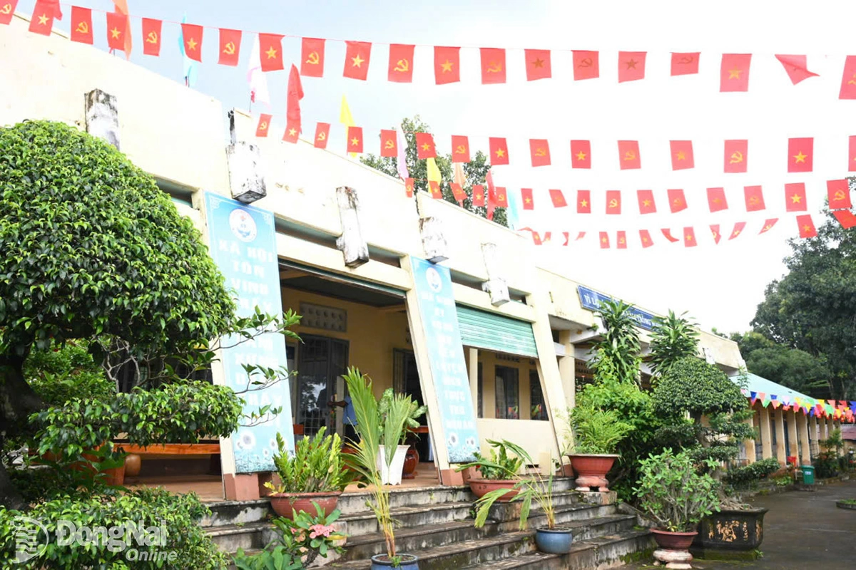 Hình 5