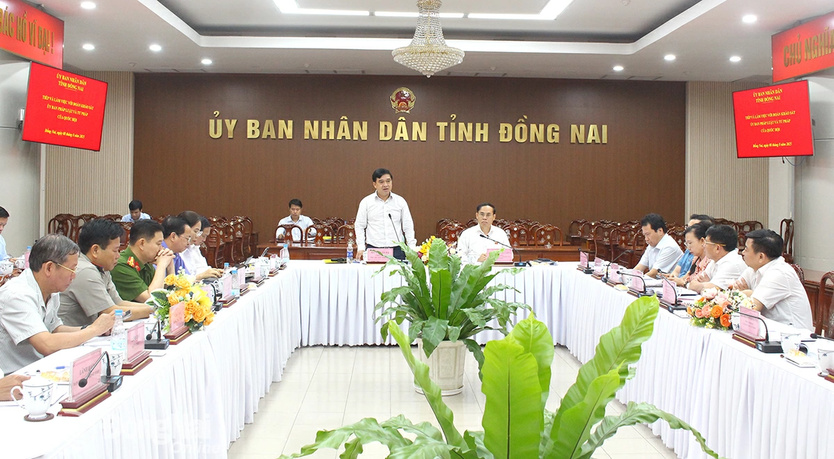 Hình 6
