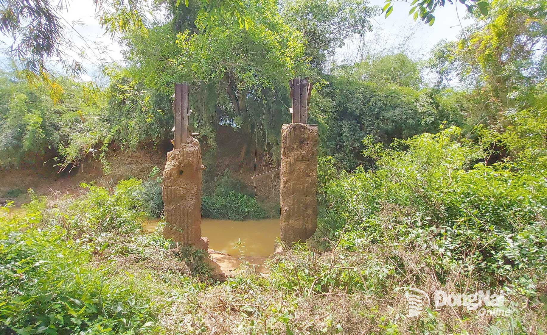 Hình 7