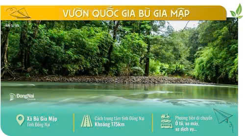 z6959170973889 f238a3e8f867f19e8faff0e6f843b17b