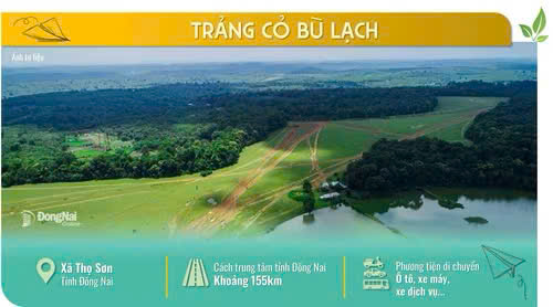 z6959170979664 28929ba1530ae7b496a6c5542de81cb2