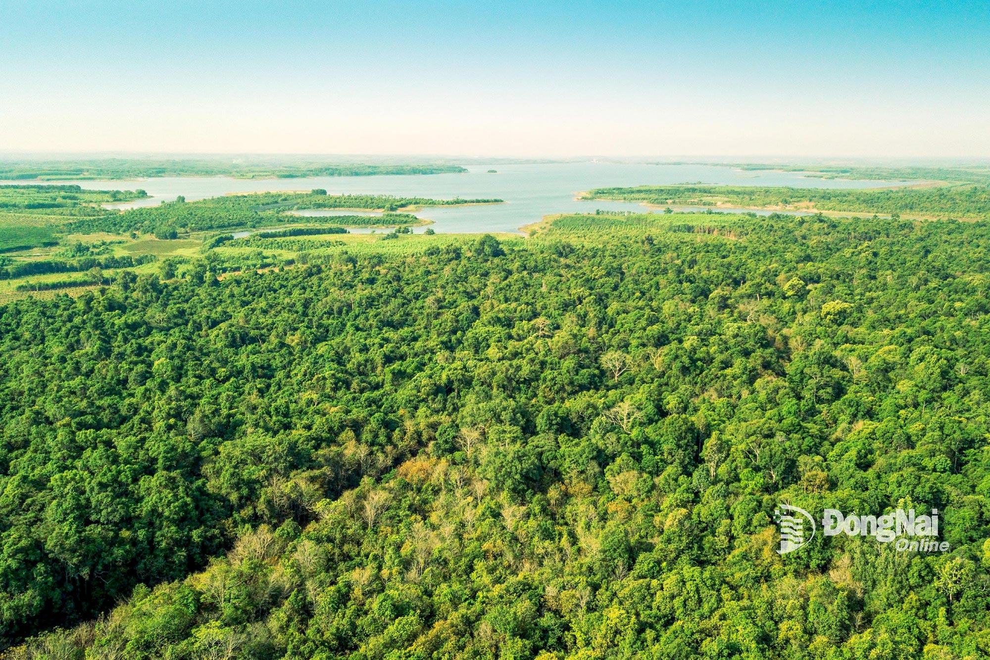 image 20250928204851 5