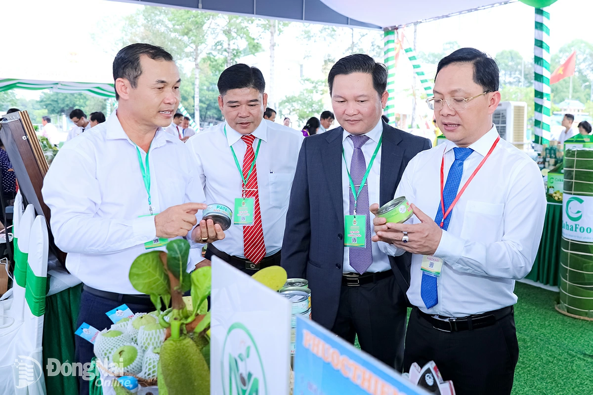 img 2769 20251212080515