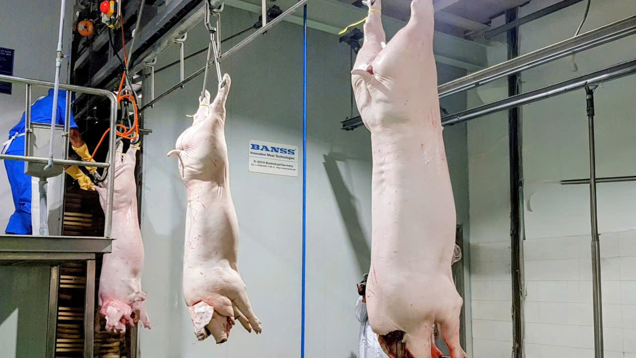 gen n z7408300117101 ef1271c2d3a8bbcba6b306ef66316990