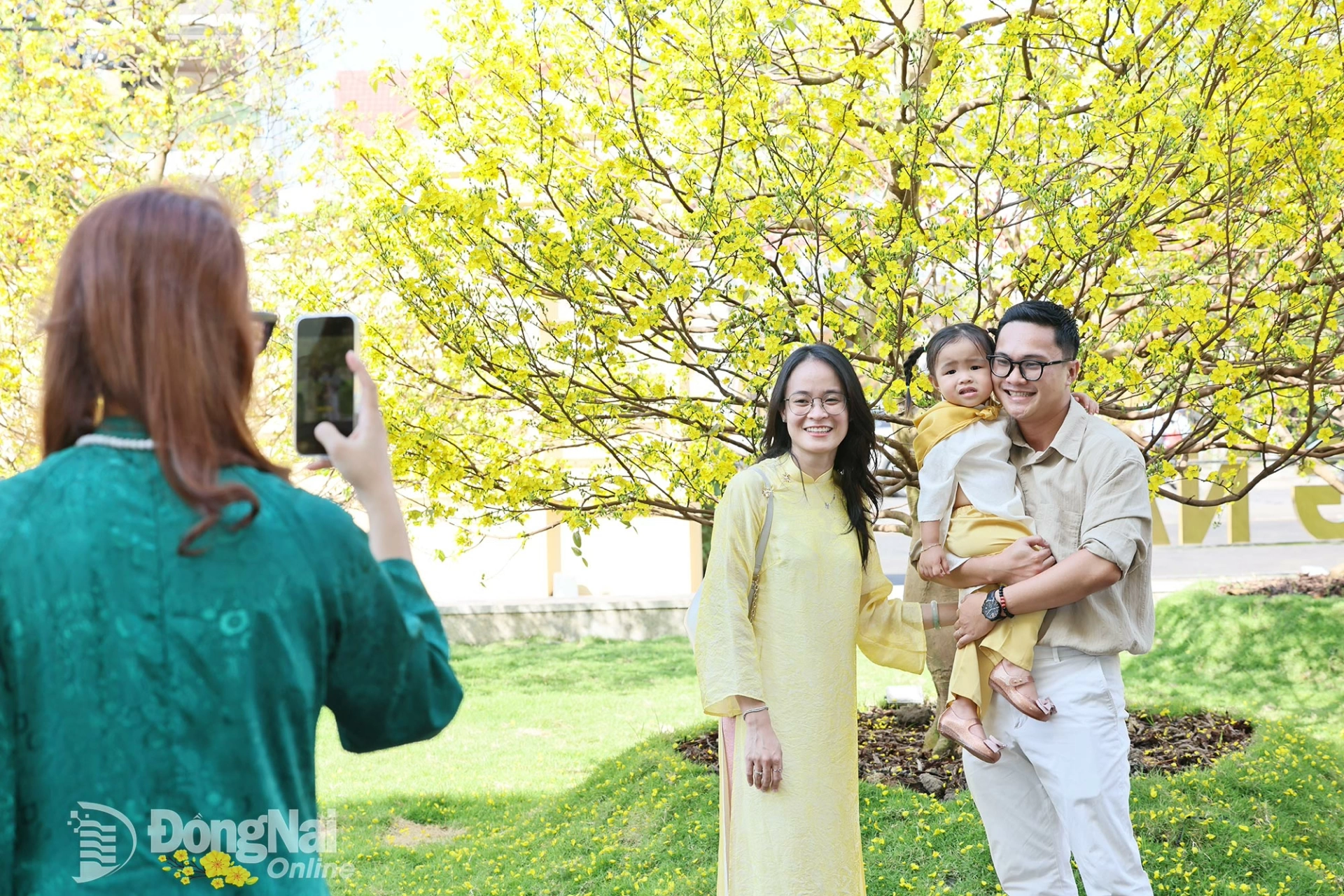 t12 20260217131116 20260217175300