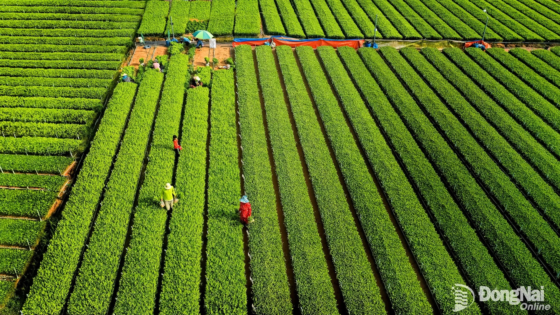 16 20260330114725 20260330122722