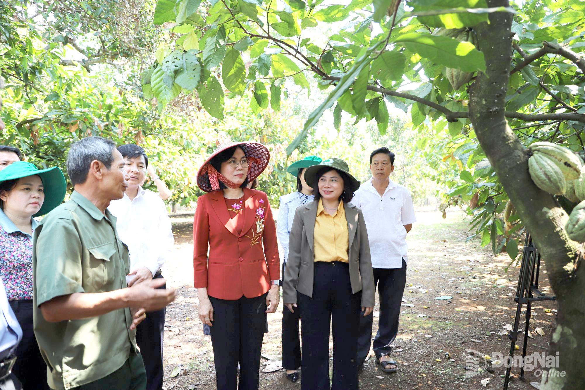 ca cao 20260318165123 20260318172717