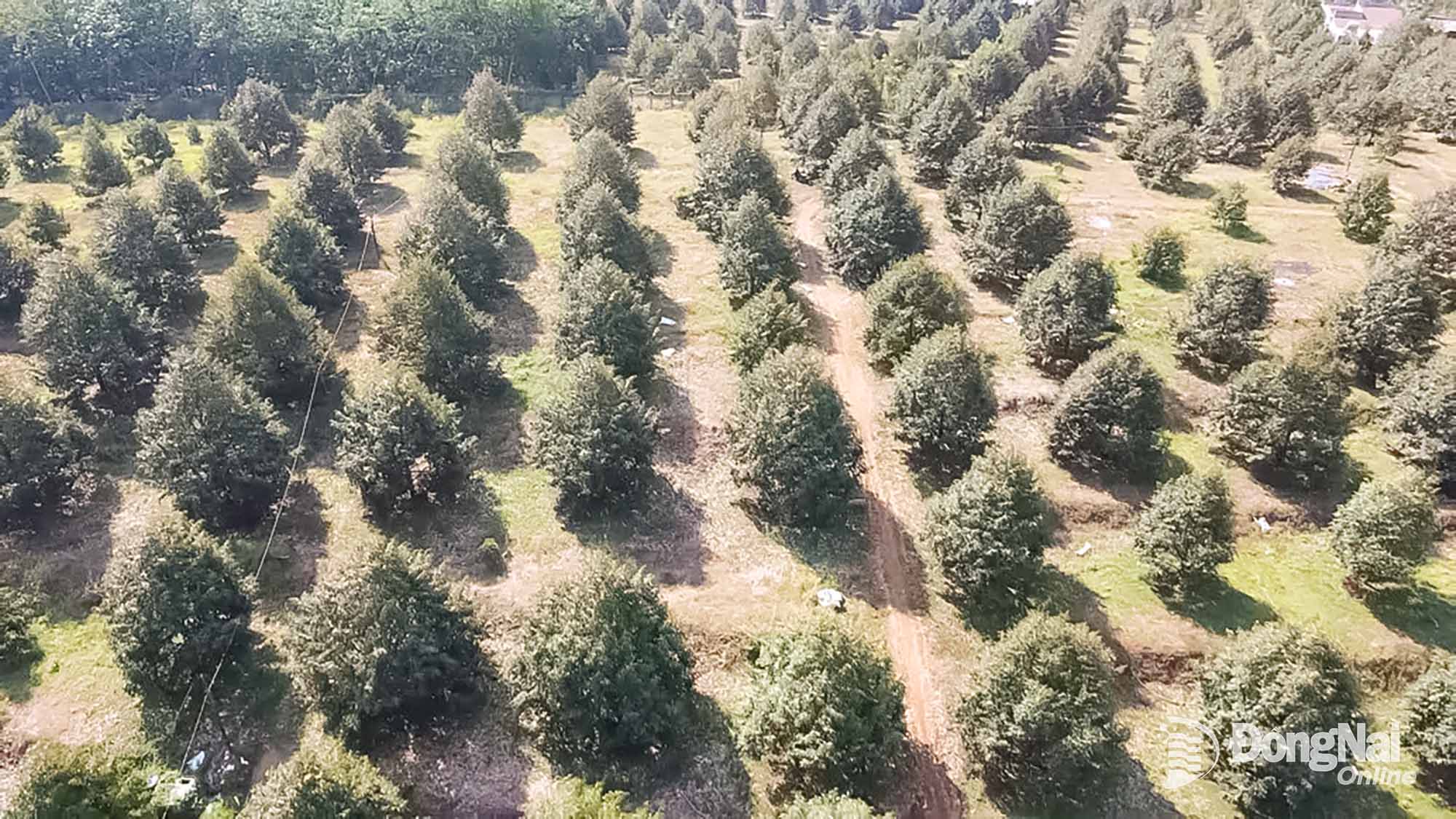 s6