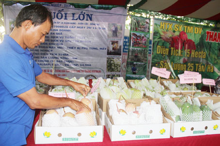 DonCoHoiXKNongSan.jpg