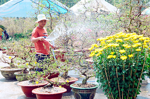 2402-Phongphu2.JPG