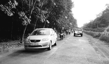 120219-DauTuHaTangVungVenSanBay.jpg