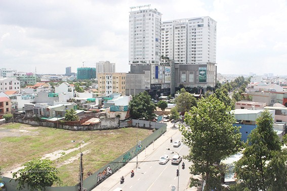 hinh 08102019.1.jpg