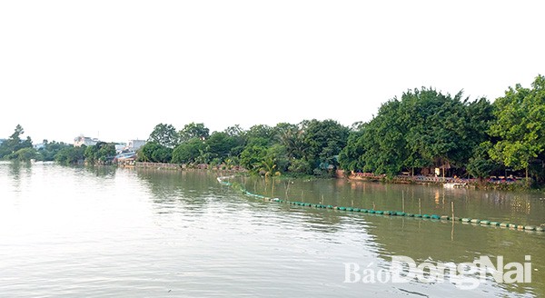 hinh 060120.1.jpg