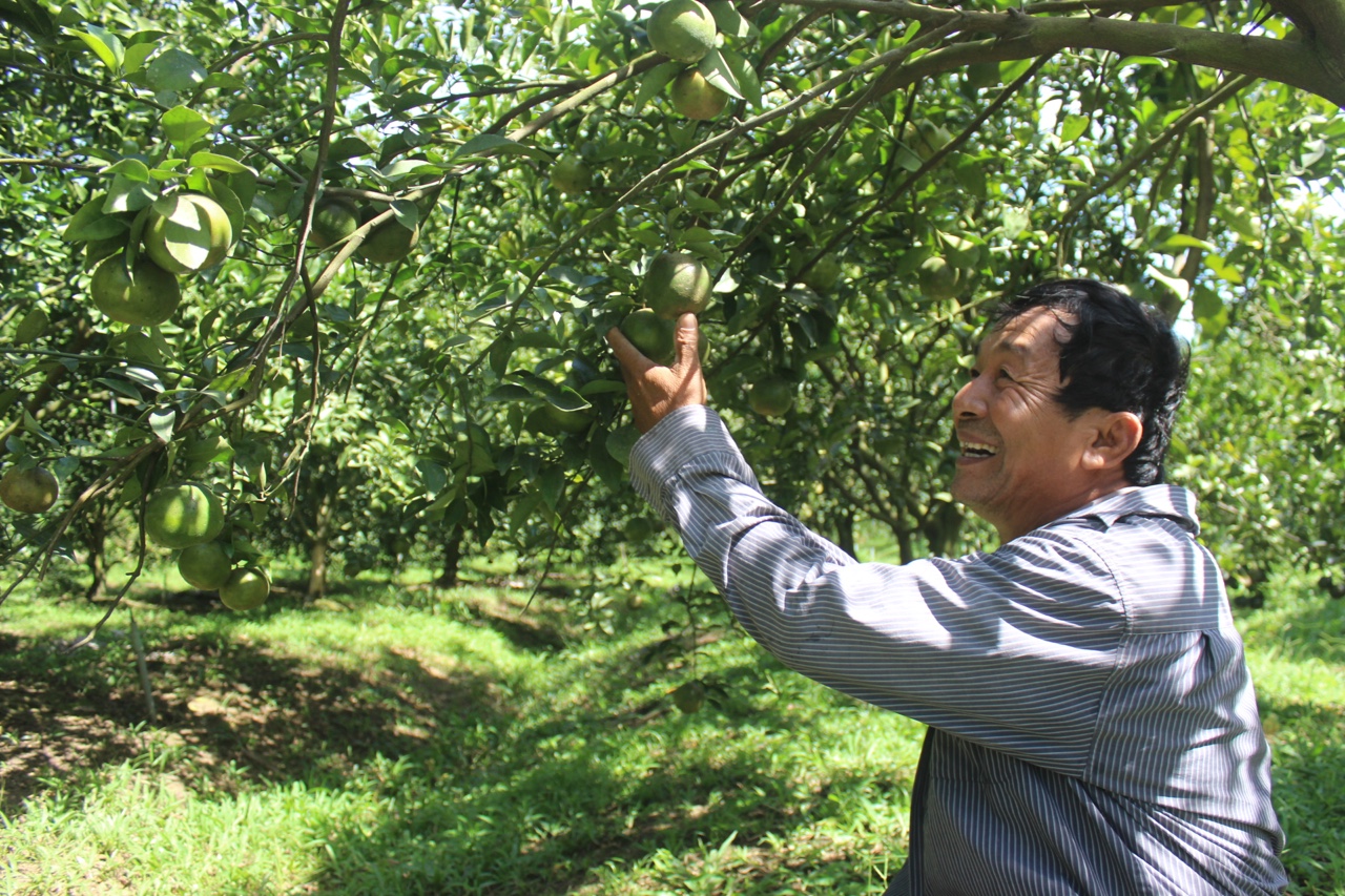 hinh 021020.3.jpg?t=1762423332