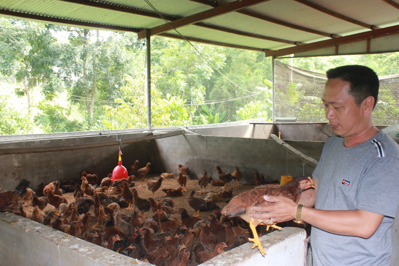 hinh 021120.5.jpg?t=1762423332