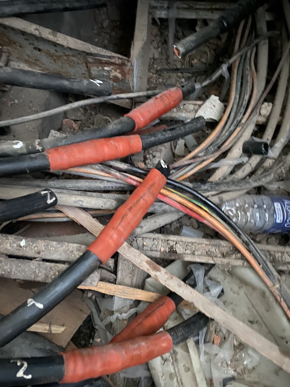 hinh 010221.4.jpg?t=1762423332