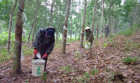 hinh 010821.23.jpg?t=1762423332