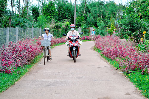 hinh7_071214.JPG