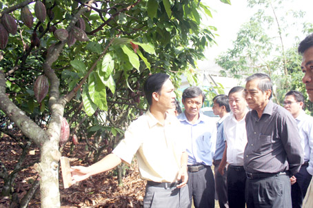 13.12.2016-Xaydungnongthonmoi.jpg