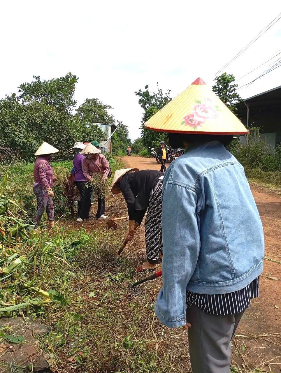 z6875804528810 f616919cafb941fd6ba5d11465f3327a