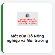 Bo nn mt