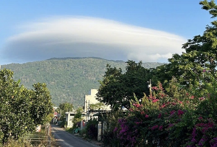 Hội thảo nhân rộng mô hình liên kết sản xuất gắn với tiêu thụ sản phẩm Cacao