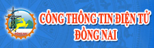 Cồng TTDT DN