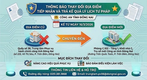 Bài viết 32