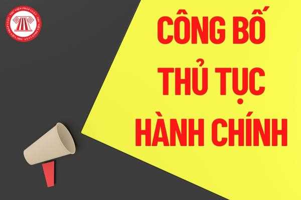 Triển khai các Quyết định công bố danh mục TTHC lĩnh vực Bảo trợ xã hội; Dân số, Bà mẹ - Trẻ em