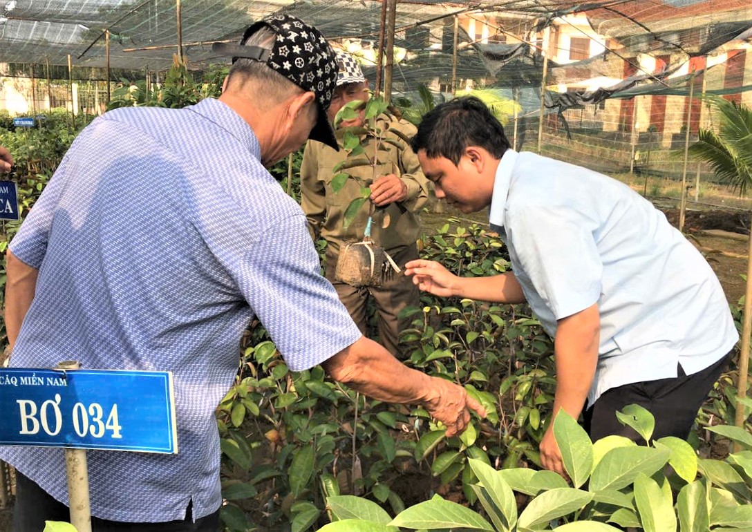 Đoàn đã tham quan thực tế tại các mô hình sản xuất cây ăn quả giống mới tại Viện cây ăn quả Miền Nam Copy