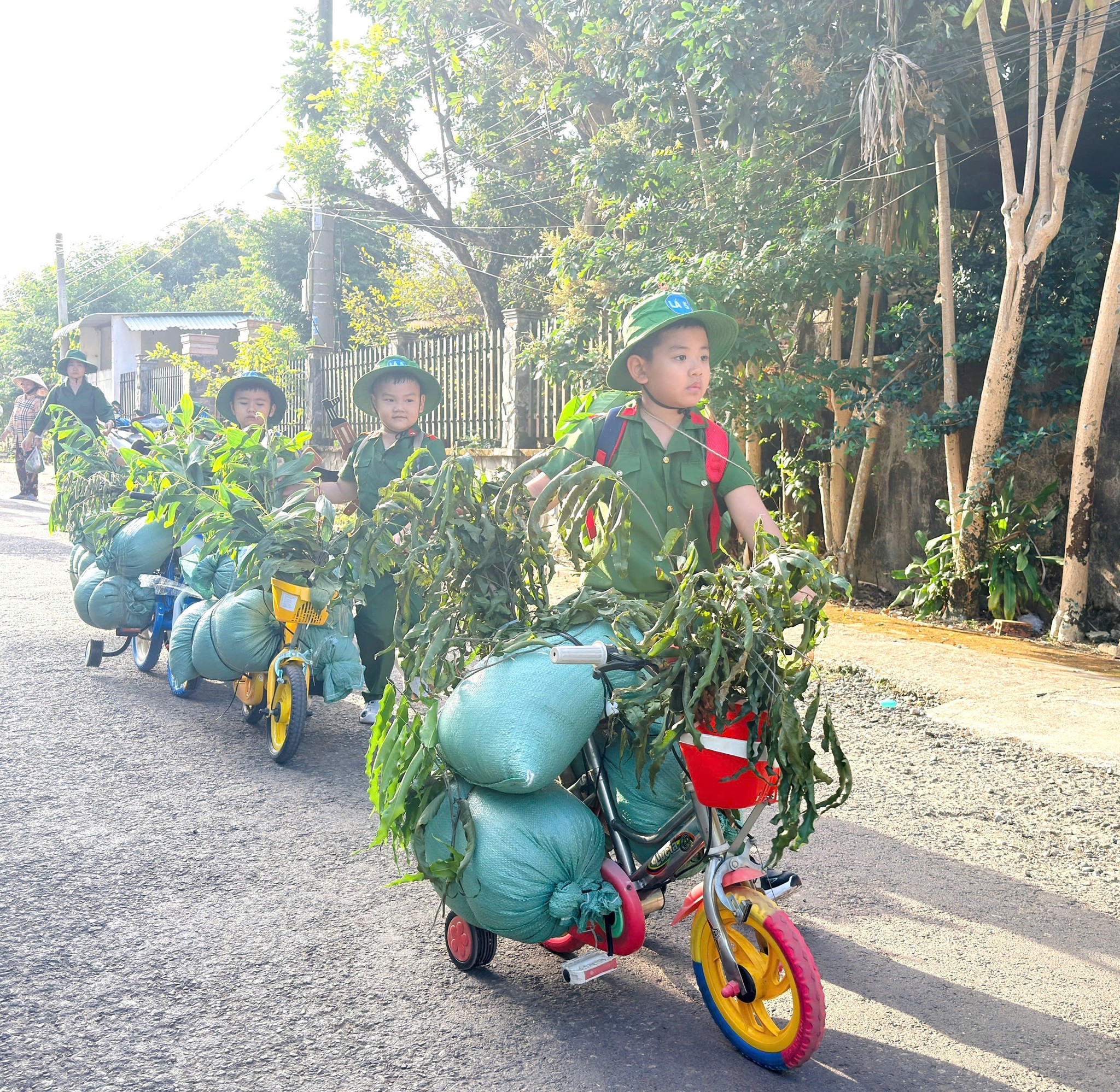 601473285 1502946178502935 6007674896120145508 n