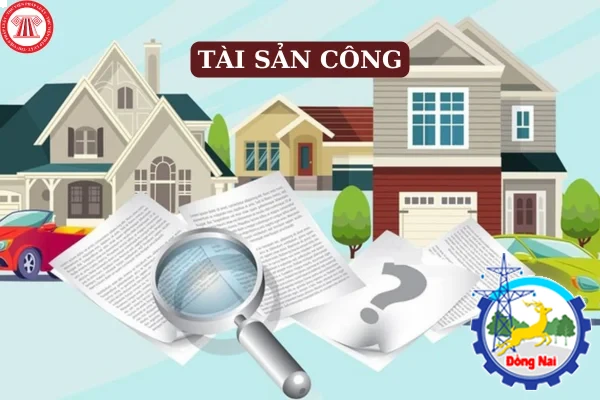 quan ly su dung tai san cong