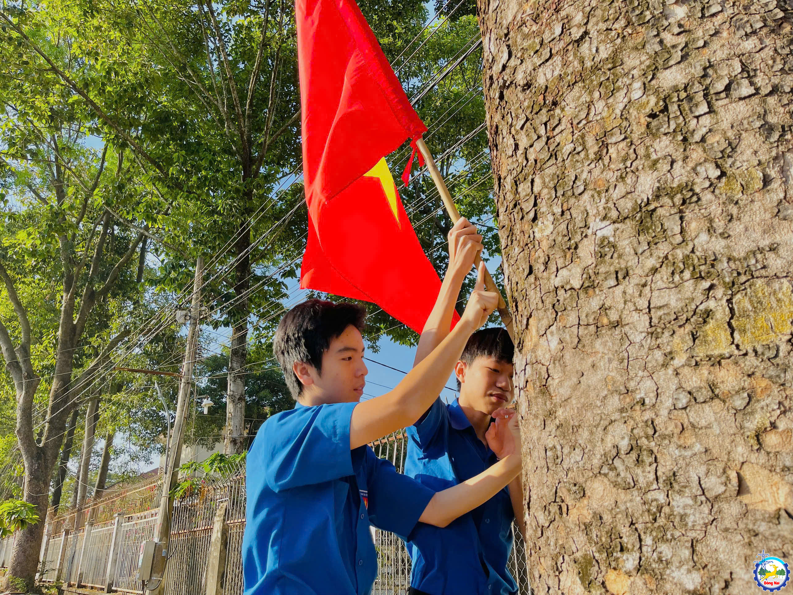 z7466405598765 66752a46712152388cd094bc1b81ccbb