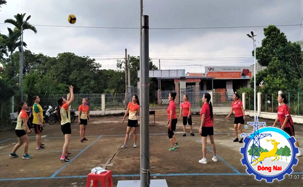 bong chuyen 4