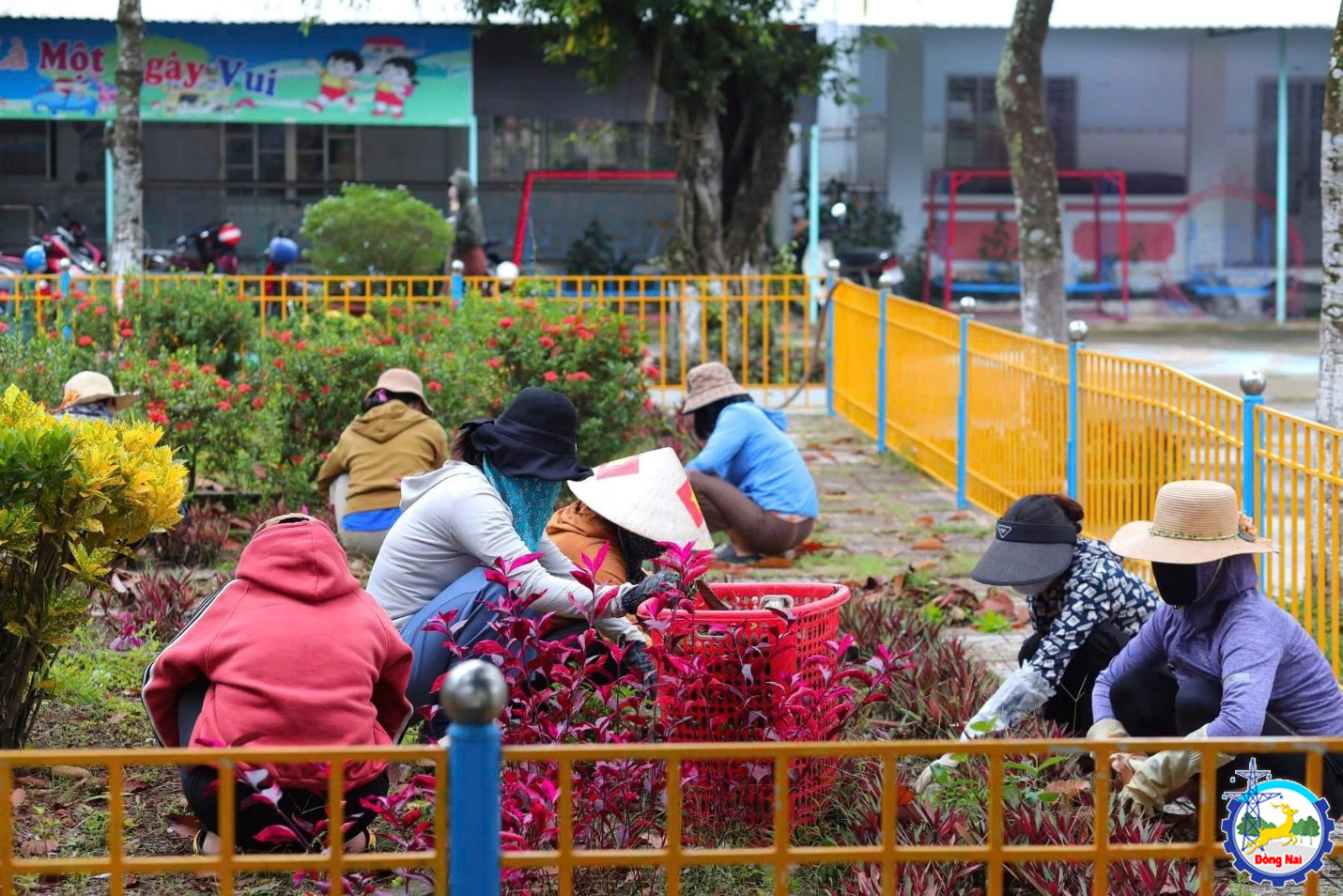 don dep vs truong hoc 2