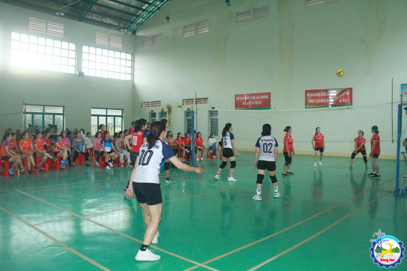 giai bong chuyen 6