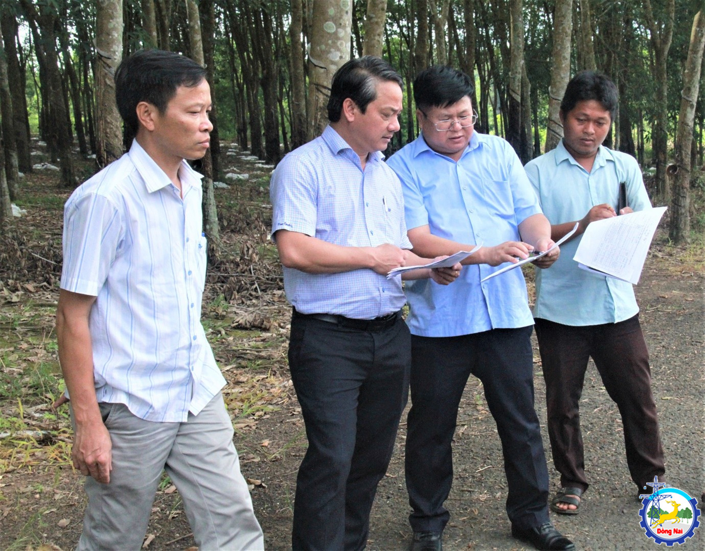 khao sat duong phuong 4