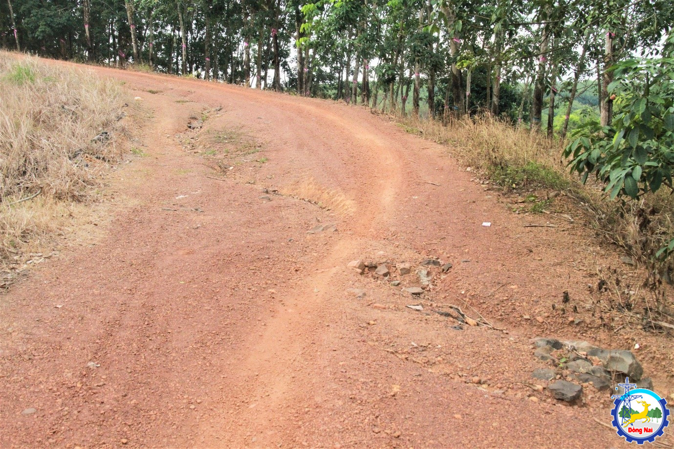 khao sat duong phuong 7