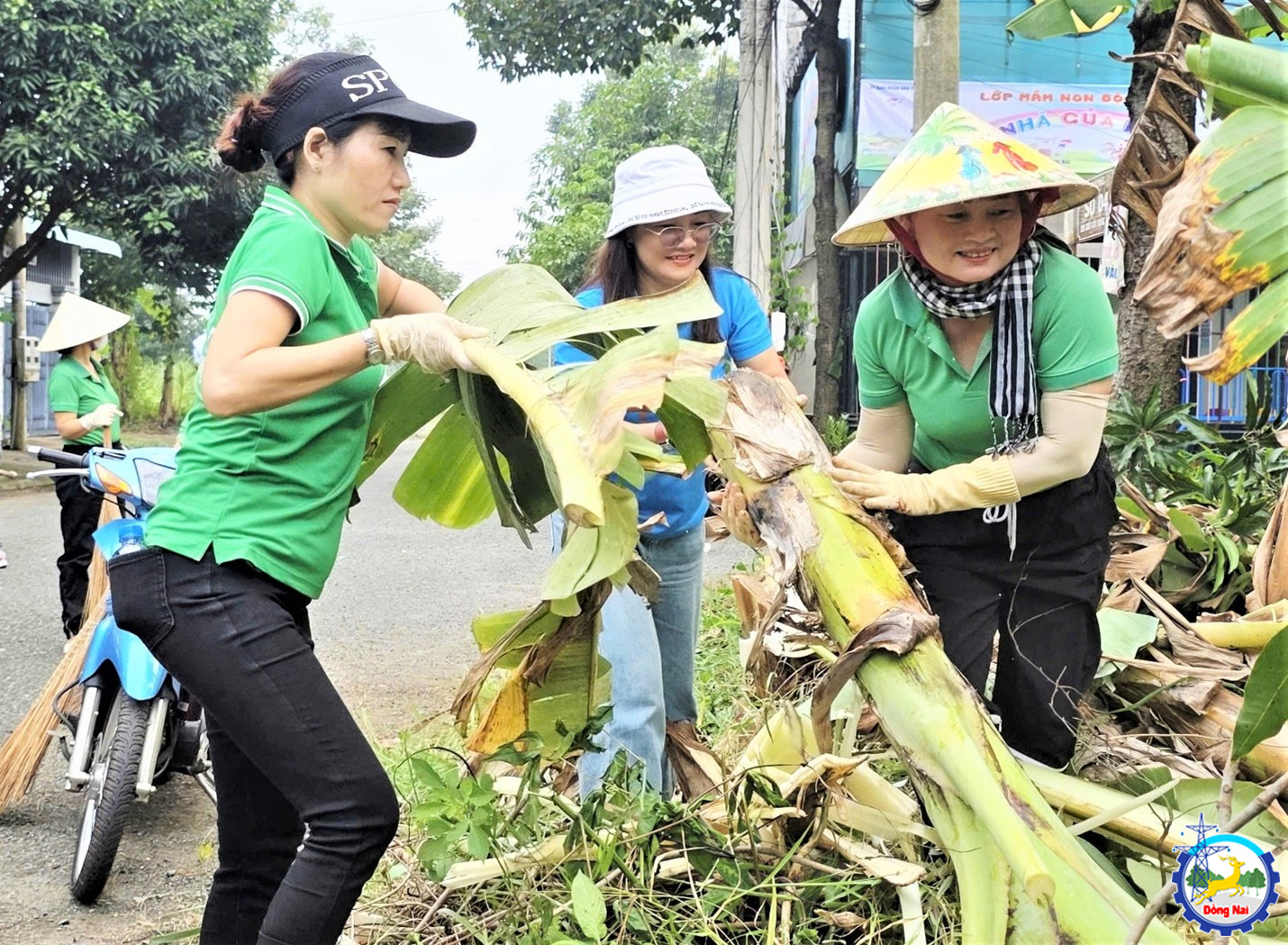 ve sinh canh quan 5