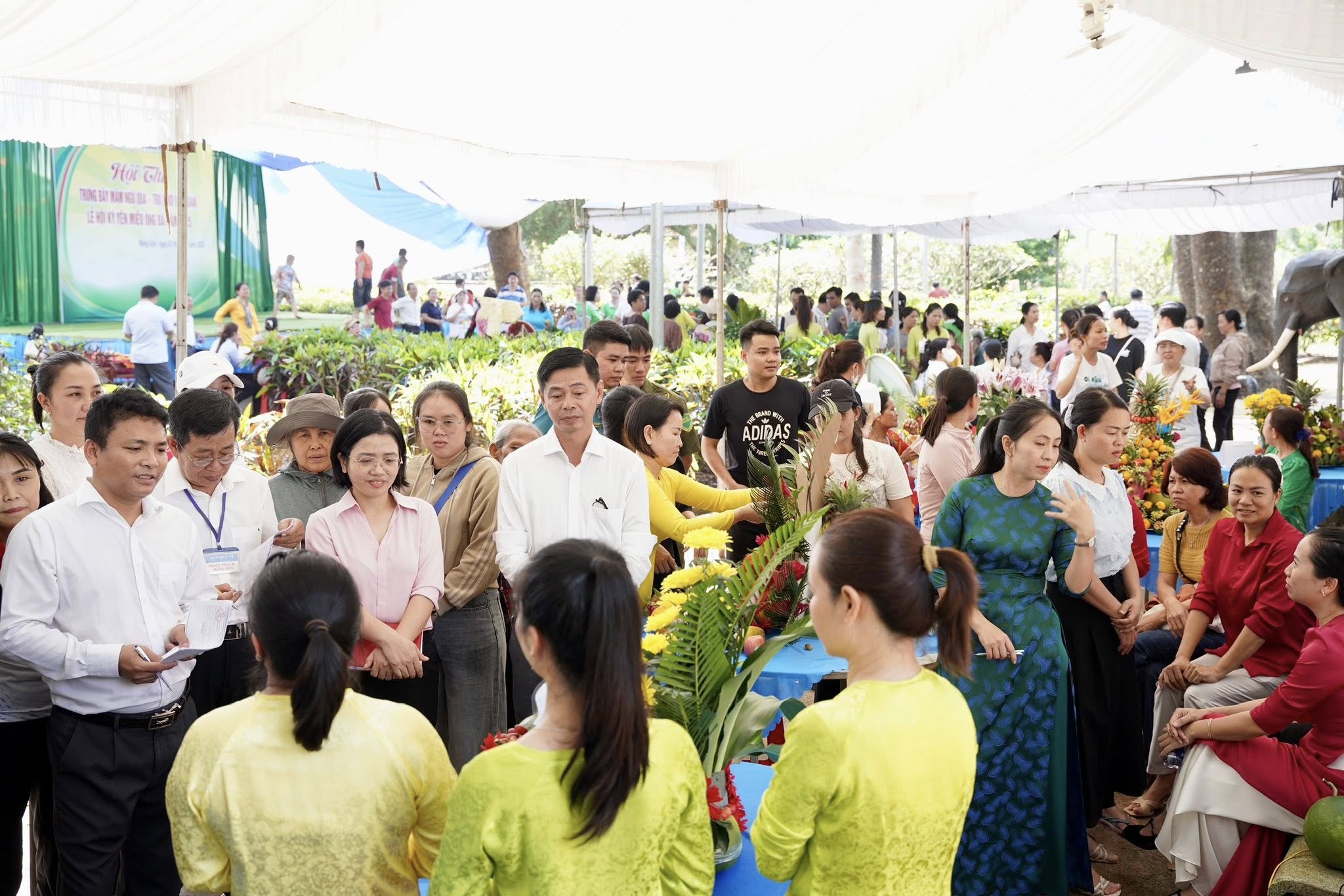 573531325 122139446858930042 914851209753730062 n