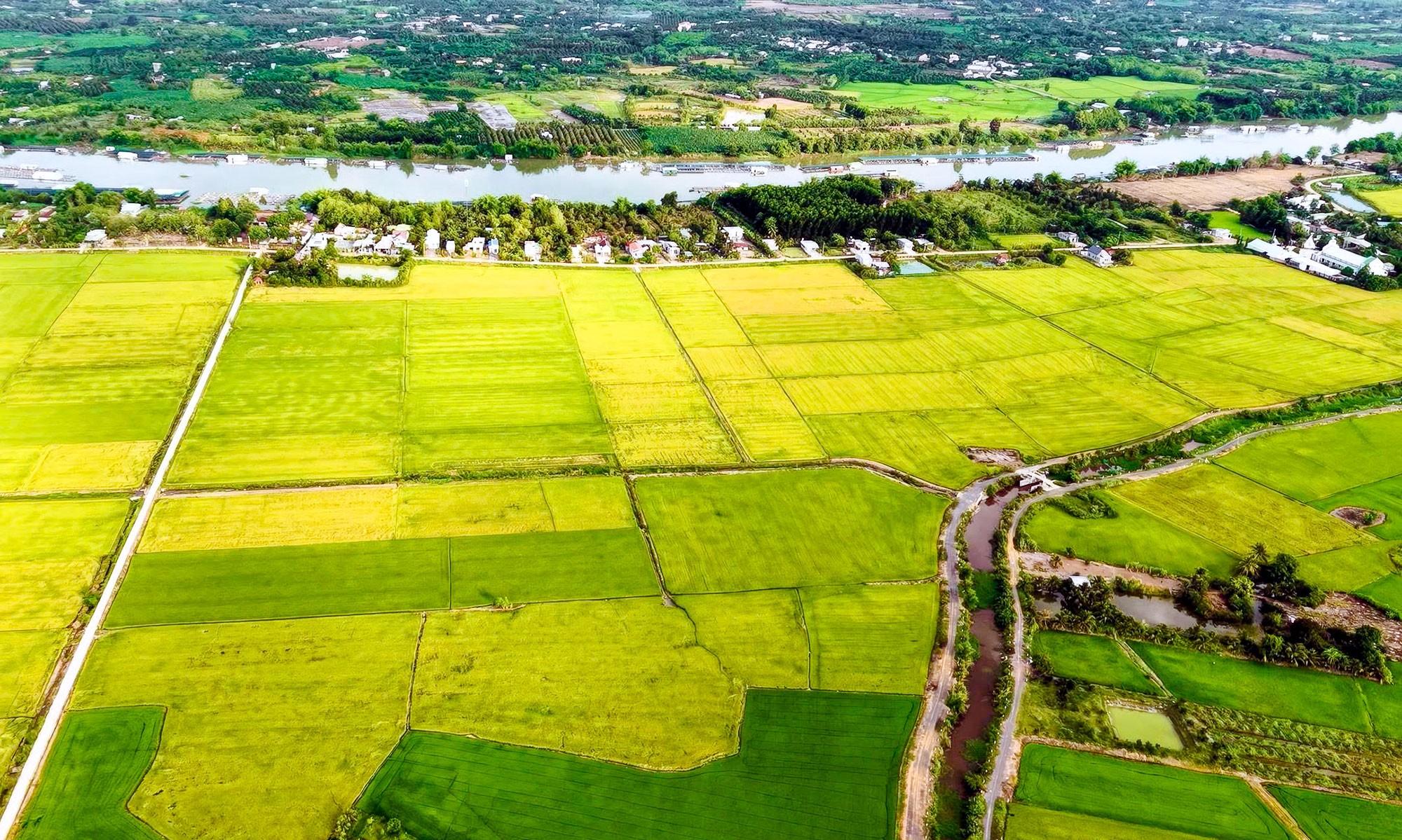 Thông báo Trường cao đẳng Miền Đông tuyển sinh nghề CNKT Điện – Điện tử hệ Cao đẳng được hỗ trợ  100% học phí