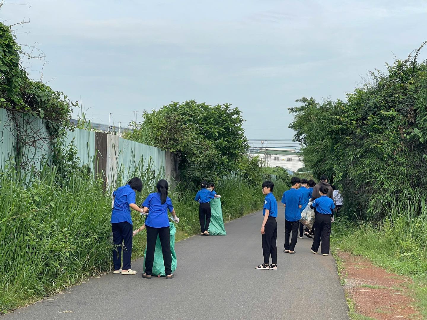 tn5