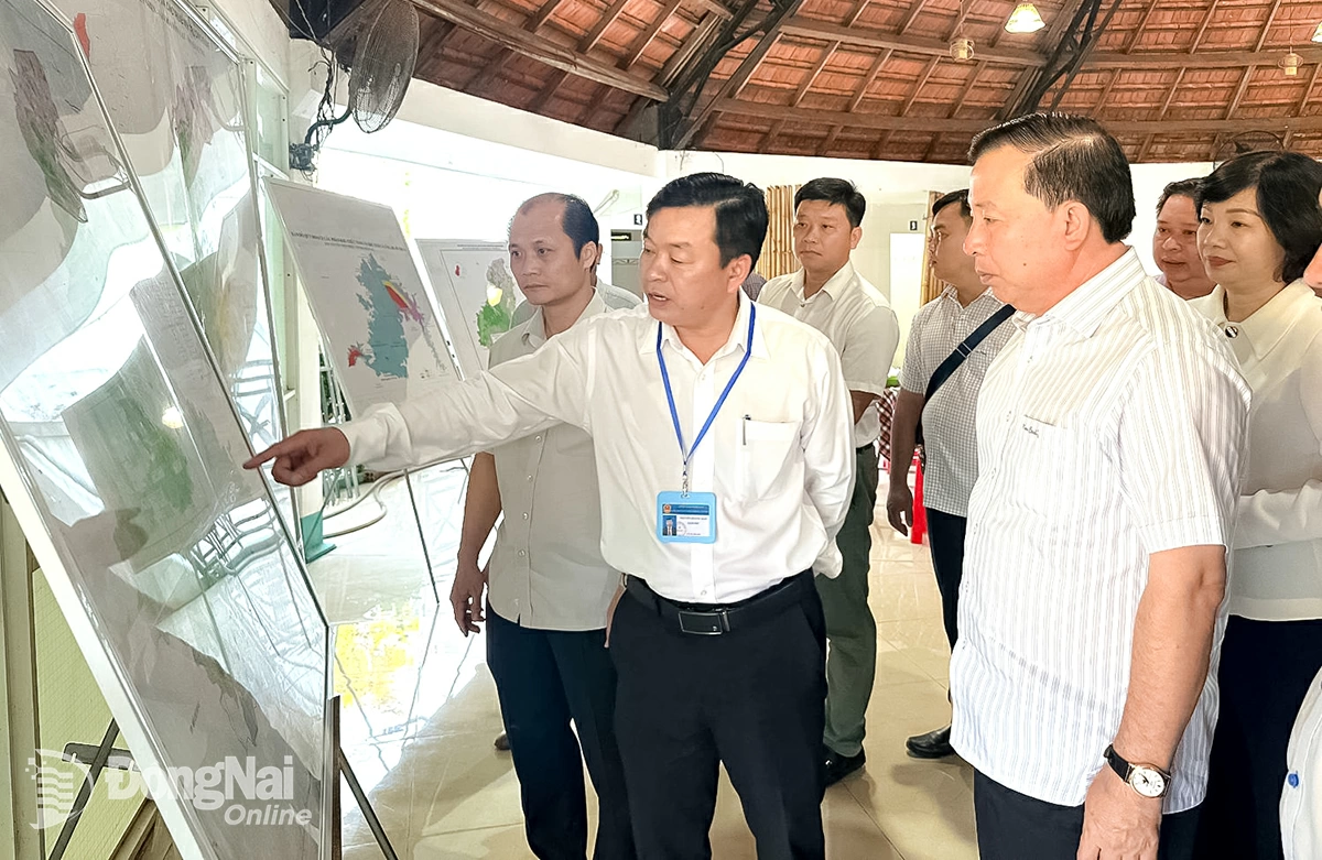 tin 1 1 20251224151853 20251224163742