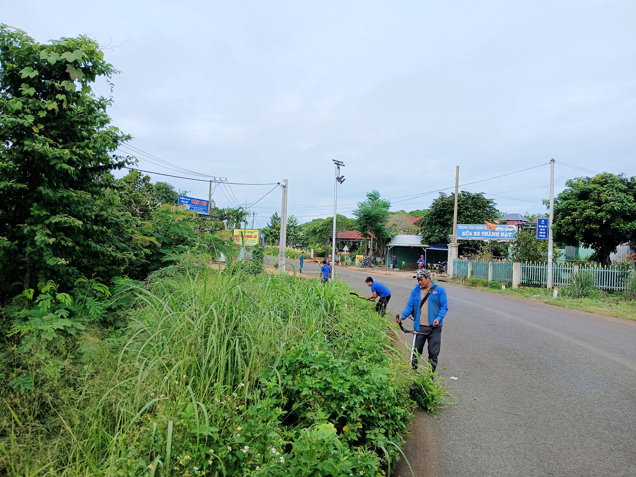 chu nhat xanh 5